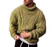 DAIHAN Men's Plain Winter Warm Roll Neck Cable Stitch Jumper Twist Knitwear Sweater High-Necked Warm Turtleneck Knitted Pullover Light Green L
