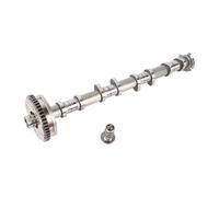 daili store 06L109021H 06L109257F 06L109088 06J109021AD Intake Camshaft With Adjuster Valve Compatible With Jetta Compatible With Golf For A3 A4 A5 A6 Q5 1.8T 2.0T