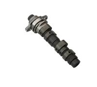 daili store Motorcycle XR400 Camshaft Assembly Compatible With Honda NX400 Compatible With Falcon XR NX 400cc 14000-MCG-000 Engine Parts