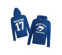 Daily Apparel Inspired The Vampire Hoodies - Mystic Falls Salvatore 17 |Uk Men's Unisex Quality Printed Hooded Top | Vampire Diaries Hooded Jumper for UK Men/Women/Kids Royal