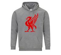 Daily Apparel Liver Bird Sports Liverpudlian Hoodie | Funny Liverpool Football Fan Hoody | Long Sleeve Sweatshirt with Logo | Casual Streetwear Gift Idea for Birthdays, Christmas & Match Days Grey