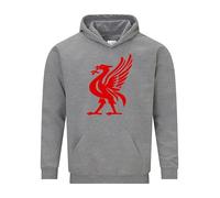 Daily Apparel Liver Bird Sports Liverpudlian Hoodie | Funny Liverpool Football Fan Hoody | Long Sleeve Sweatshirt with Logo | Casual Streetwear Gift Idea for Birthdays, Christmas & Match Days Grey