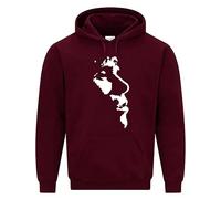 Daily Apparel Newlan Brawn Hoodie The Stone Roses Rock Music Hoodie | Unisex Band Sweatshirt for Men Women Kids | Quality Printed Pullover Hooded Top | Music Fans Concert Festival Streetwear Birthday