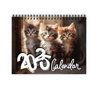 Daily Calendar, Funny Wall Calendar 2025 - Kitty Monthly Calendar,2025 Hanging Wall Calendar with Gorgeous Photographs, Adorable Cats Calendar for Age