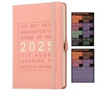 Daily Planner 2025,Academic Diary Day per Page,from Jan 2025 to Dec 2025,Best Agenda & Daily Calendar to Boost Productivity & Gratitude Journal Personal Daily Organizer - 14.5x21.5cm (Pink)