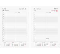 Daily Replacement Calendar Model 765 2025 143 x 202 mm the New the New