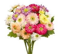Daily Treasures 30 Heads Artificial Gerbera Daisies - Multicolour Faux Silk Flowers with Long Stem, 6 Stems Fake Flowers for Indoor/Outdoor, Spring Summer Garden Decor Wedding Office Table