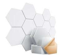 Dailycooper 12 Pack Self-adhesive Acoustic Panels 12" X 10" X 0.4" - Sound Proof Foam Panels with High Density, Stylish Hexagonal Design, Flame Resistant, Absorb Noise and Eliminate Echoes(White)