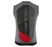 DAINESE, FLEXAGON 2 MEN'S SKI PROTECTIVE VEST, SILVER-FILIGREE/CASTLE-ROCK, S