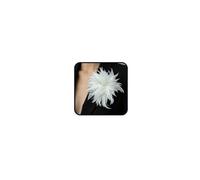 Dainty Feather Flower Brooch Pin for Women Elegant Oversized Feather Corsage Brooches Large Floral Lapel Pins Brooch Shawl Dress Suit Clothes Accessories Wedding Party Dance Banquet Trendy Jewelry, NO