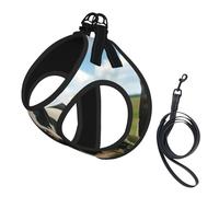Dairy Cow Print Harness Leash Set For Cat Dog, Reflective Adjustable Escape-Proof Vest Lead With Soft Breathable Mesh, For Small Pets And Kitten Puppy