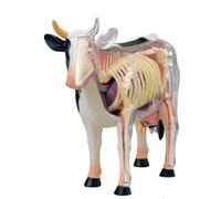 Dairy Cow Skeleton Animal Anatomical Model,4D Dairy Cow Skeleton Anatomy Model Kit,Dairy Cow Intelligence Assembling Toy,for Teaching Material Demonstration