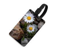 Daisies and Rocks Luggage Tags with Information Card, ID Protection Cover for Travel, Lightweight Baggage Tags Black for Flying, Suitcases Tag Holder for Hotel, Tag Bag