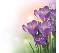 DAISY 3-Ply Flowery Tissue Paper Napkins Serviettes for Decoupage Lunch 33cm x 33cm - Pack of 20 (Bunch of Violet Crocuses)