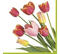 Daisy 3-Ply Spring Flowers Tissue Paper Napkins Serviettes for Decoupage Lunch 33cm x 33cm - Pack of 20 (Photo Tulips)