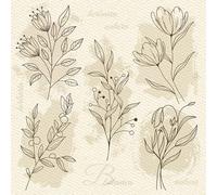 Daisy 3-Ply Spring Flowers Tissue Paper Napkins Serviettes for Decoupage Lunch 33cm x 33cm - Pack of 20 (Beige Flower Illustration on Watercolour Paper)