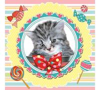 Daisy 3-Ply Spring Flowers Tissue Paper Napkins Serviettes for Decoupage Lunch 33cm x 33cm - Pack of 20 (Sweet Kitten)