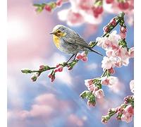 DAISY 3-Ply Spring Flowers Tissue Paper Napkins Serviettes for Decoupage Lunch 33cm x 33cm - Pack of 20 (Robin in The Morning Sun)