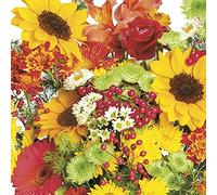 DAISY 3-Ply Spring Flowers Tissue Paper Napkins Serviettes for Decoupage Lunch 33cm x 33cm - Pack of 20 (Rich Autumn Bouquet)