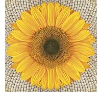 Daisy 3-Ply Tissue Paper Napkins Serviettes for Decoupage Lunch 33cm x 33cm - Pack of 20 (Sunflower on Seeds)