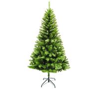Daisy Darcy 6ft Green Mountain Pine Tree Fraser Fir and Noble Spruce