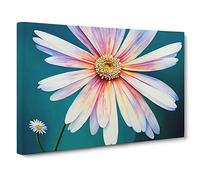 Daisy Flower Dreams Canvas Wall Art Print 30x20 Inch