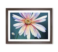 Daisy Flower Dreams Framed Print | A3 Walnut Framed Wall Art | Ready to Hang | Modern Floral Picture | Living Room Bedroom Lounge Office