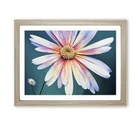 Daisy Flower Dreams Framed Wall Art Print A2 Oak