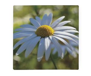 Daisy Flower Large Square Glass Worktop Protector - Spring Flowers Gift - Smooth Board Kitchen Chopping/Cutting Board Worktop Saver with Non-Slip Feet 30cm x 30cm (12" x 12")