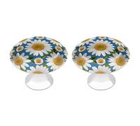Daisy Flower Pattern Cabinet Knobs, 2-Pack Silver Stainless Steel Drawer Pulls with Screws, Elegant Hardware for Dressers, Kitchen,Cabinets & Desks