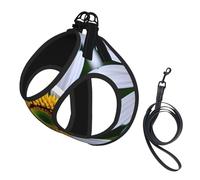Daisy Flower print Dog Harness and Leash Set, Reflective Adjustable Puppy Vest for Small Medium Large Dogs, Cats