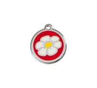 Daisy Flower Red - Small