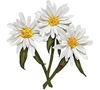 Daisy Flowers Metal Cutting Dies for Card Making, Cut Stencils for DIY Scrapbooking Photo Album Paper Decorative Craft for Greeting Cards Die-Cutting Invitation Birthday Gift