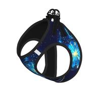 Daisy Flowers Print Pet Vest Harnesses Leash Set Reflective Puppy Vest Dogs Walking Training Dog Harness