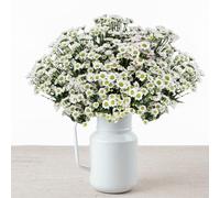 Daisy Meadows Fresh Handpicked Floral Arrangement - Beautiful Madiba Santini gift for Birthday, New Baby, and Just Because. Fresh Blooms Delivered to Your Door with a Gift Card