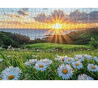 Daisy Sunset Puzzle - 5000 Piece Jigsaw Puzzles for Adults - The Back Features Printed Letter Guides - The Pieces fit Together Snugly - Wooden Puzzles for Adults - Gifts Family 61.6 X 41.5 Inch s7h-17