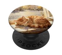 Daisy The Ginger Tabby Cat Takes A Nap PopSockets Adhesive PopGrip