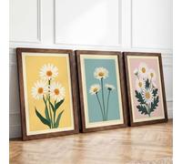 Daisy Trio Botanical Set of 3 Framed Wall Art Prints A1 (84.1×59.4cm)
