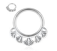 Daith Earrings 16G Silver Septum Clicker Ring 316L Surgical Steel Conch Piercing Nose Ring Hoop Higned Segment Seamless Clicker Ring Rook Tragus Helix Piercing Jewellery Small Hoop Earring 10mm