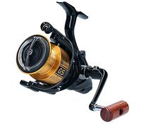 Daiwa 20 GS BR LT, 4000-C, Bite n' Run, Freespool Fishing Reel, Rear Drag, 20GSBRLT4000C