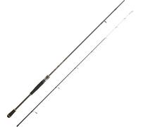 DAIWA Canne Eging Legalis Squid 802 Ml - 2.44m - 132g - P.5-21g - Enc.125cm - LEGSD802MLCF