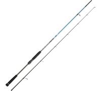DAIWA Canne Leurres Spitfire Seabass 1002 Hx Hfs - 3.05m - 250g - P.14-56g - Enc.157cm - SPSB1002HXHFSCF