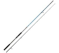 DAIWA Canne Leurres Spitfire Seabass 802 Hm Hfs - 2.44m - 149g - P.10-35g - Enc.126cm - SPSB802HMHFSCF