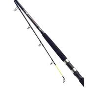 DAIWA D Wave Uptide Sea Fishing Rod 9'6' / 4-10oz - DWU410-BU