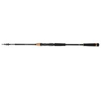 DAIWA Legalis Tele Allround, 2,4m, 7,87ft, 10-50g, 5 parts, Telescopic Fishing Rod, 11761-246