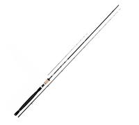 Daiwa N´zon Super Slim Carpfishing Rod Silver 3.05 m / 50 g