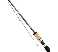 Daiwa N´zon Super Slim Carpfishing Rod Silver 3.35 m / 60 g
