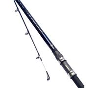 Daiwa Saltist Surf 13ft 6