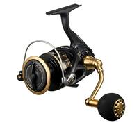 Daiwa Spinning Reel 23BG SW 6000D-H