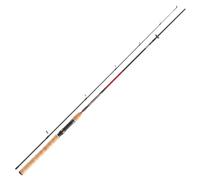 DAIWA Sweepfire Spin, 2,4m, 7,87ft, 10-40g, 2 parts, Spinning Fishing Rod, medium fast, 11446-240